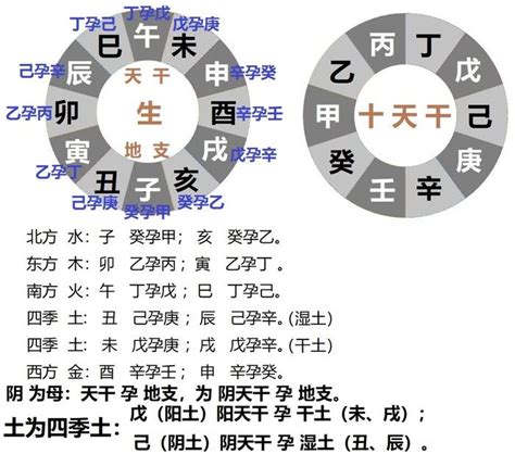 天干地支的五行|十二地支藏干 十二地支五行属性对照表